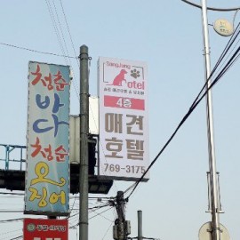 지주간판-플렉스